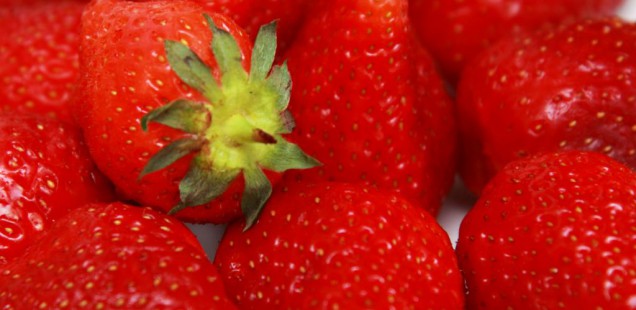 Fruits et légumes : un outil d’aide à la décision permettant de réduire de 35 % les doses appliquées