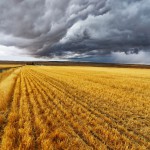 Les 25es controverses européennes comptent dynamiter les images biaisées de l’agriculture