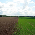 Evaluer les services rendus par les écosystèmes agricoles pour mieux les gérer !