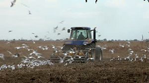 Revenu agricole : L’INSEE et le Ministère en désaccord sur les chiffres 2014