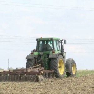 Pourquoi il ne faut pas s’étonner si les agriculteurs peinent à obtenir un taux de protéines élevé !