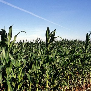 Gaz : Un protocole renforcé pour la pose de canalisations en terres agricoles