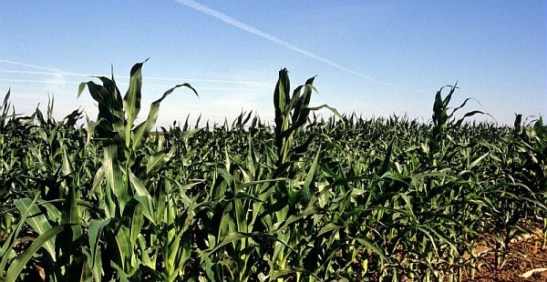 Gaz : Un protocole renforcé pour la pose de canalisations en terres agricoles