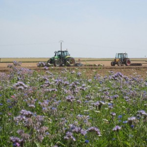 Agriculture durable : Quelles conclusions pour le Farm Network ?