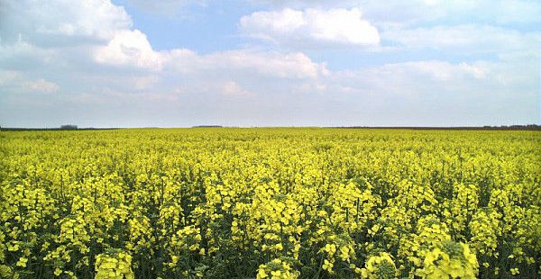 L’Unifa veut convaincre les agriculteurs d’investir dans les fumures de fond