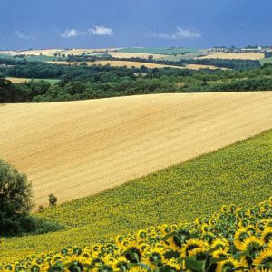 Une étude liste les freins au développement de l’agriculture de précision