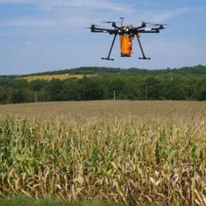 Deux coopératives expérimentent l’épandage de couvert végétal par drone