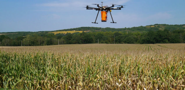 Deux coopératives expérimentent l’épandage de couvert végétal par drone