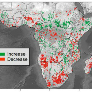 Un nouvel outil pour suivre le bilan carbone de la végétation : première application au continent africain